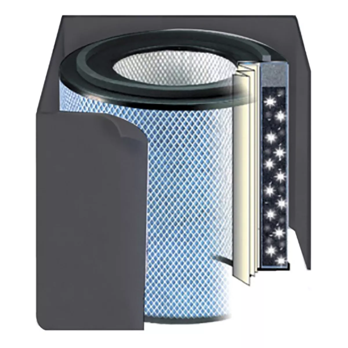 Austin Air Healthmate Plus Accessory – Black Replacement Filter Only