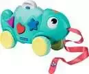 Colour & Shape Sorter Chameleon