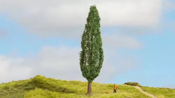 Noch 20130 - Poplar (18cm)