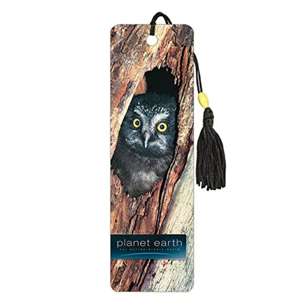 Planet Earth Owl Premier Bookmark