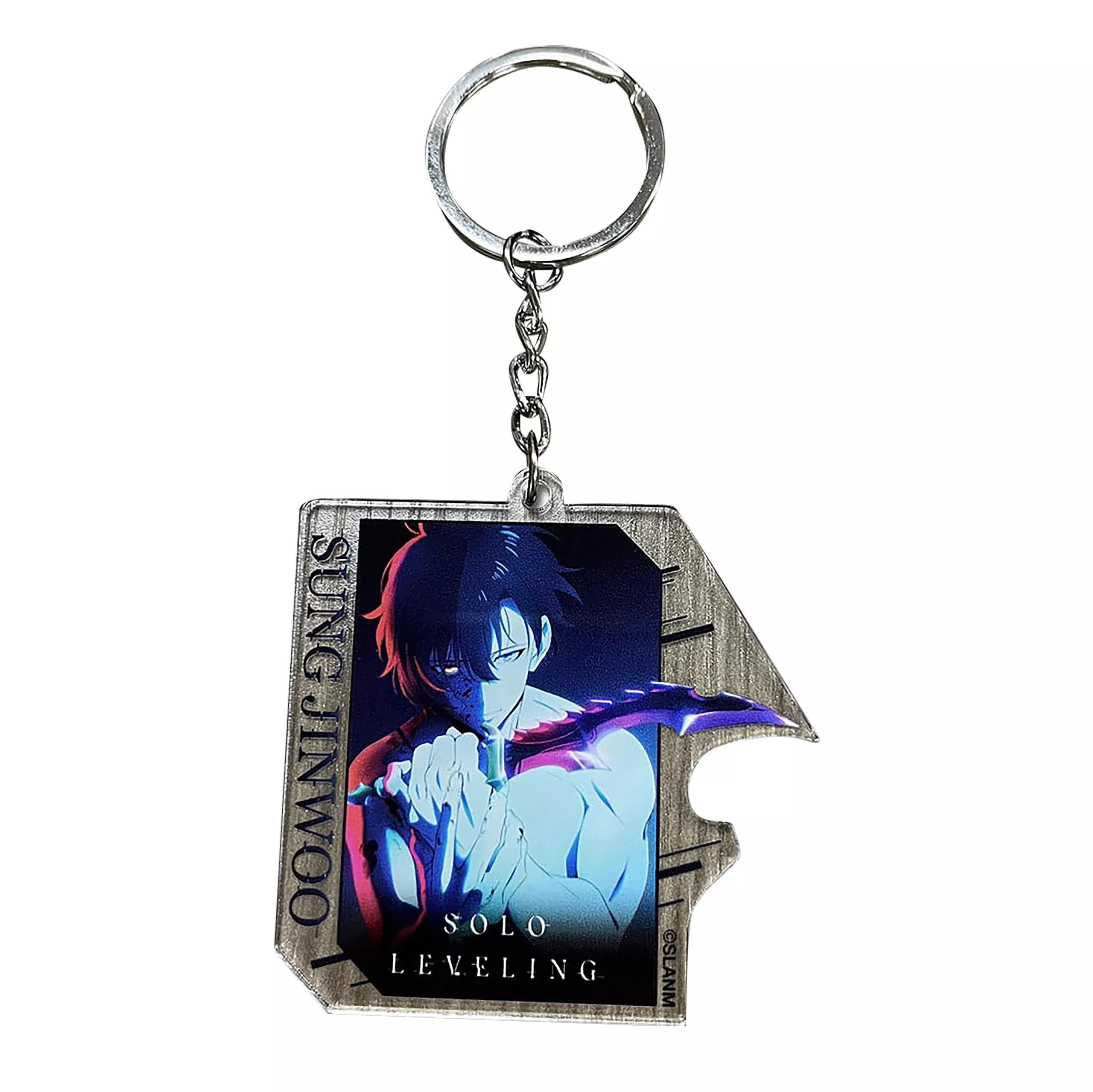 Solo Leveling - Sung Jinwoo Teaser Art Keychain